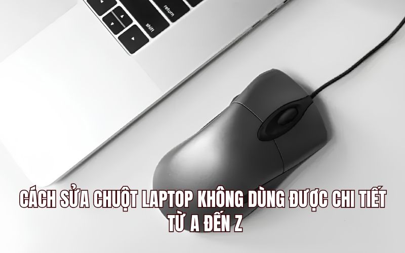 Cách Sửa Chuột Laptop Không Dùng Được Chi Tiết Từ A Đến Z