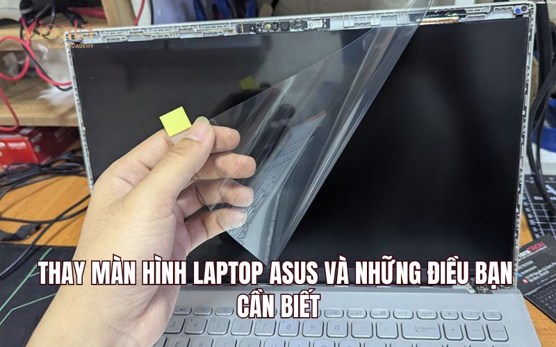 Thay Màn Hình Laptop Asus Và Những Điều Bạn Cần Biết
